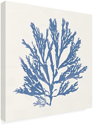 אמנות סימן מסחרי 'אומנות פסיפיק ים טחב אני כחול בהיר' אמנות בד על ידי תיק תפוחים פראי 24x24